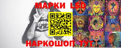 стафф Новокубанск