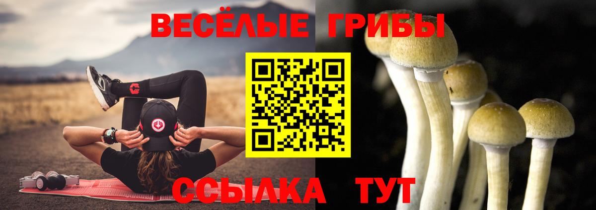 Рыбинск  Псилоцибиновые грибы MAGIC MUSHROOMS  Вход с VPN 